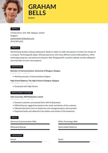 Modern CV template Vivid