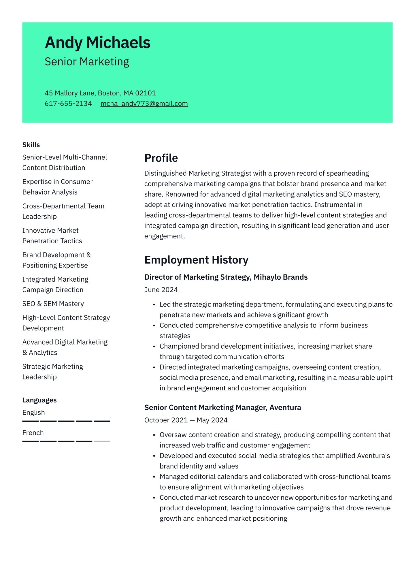 Senior-level Marketing  Translation missing: en.examples.cover_letter_example